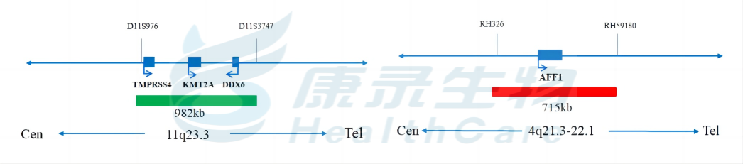 中国·拉斯维加斯(3499·官方认证)网站-Officialwebsite